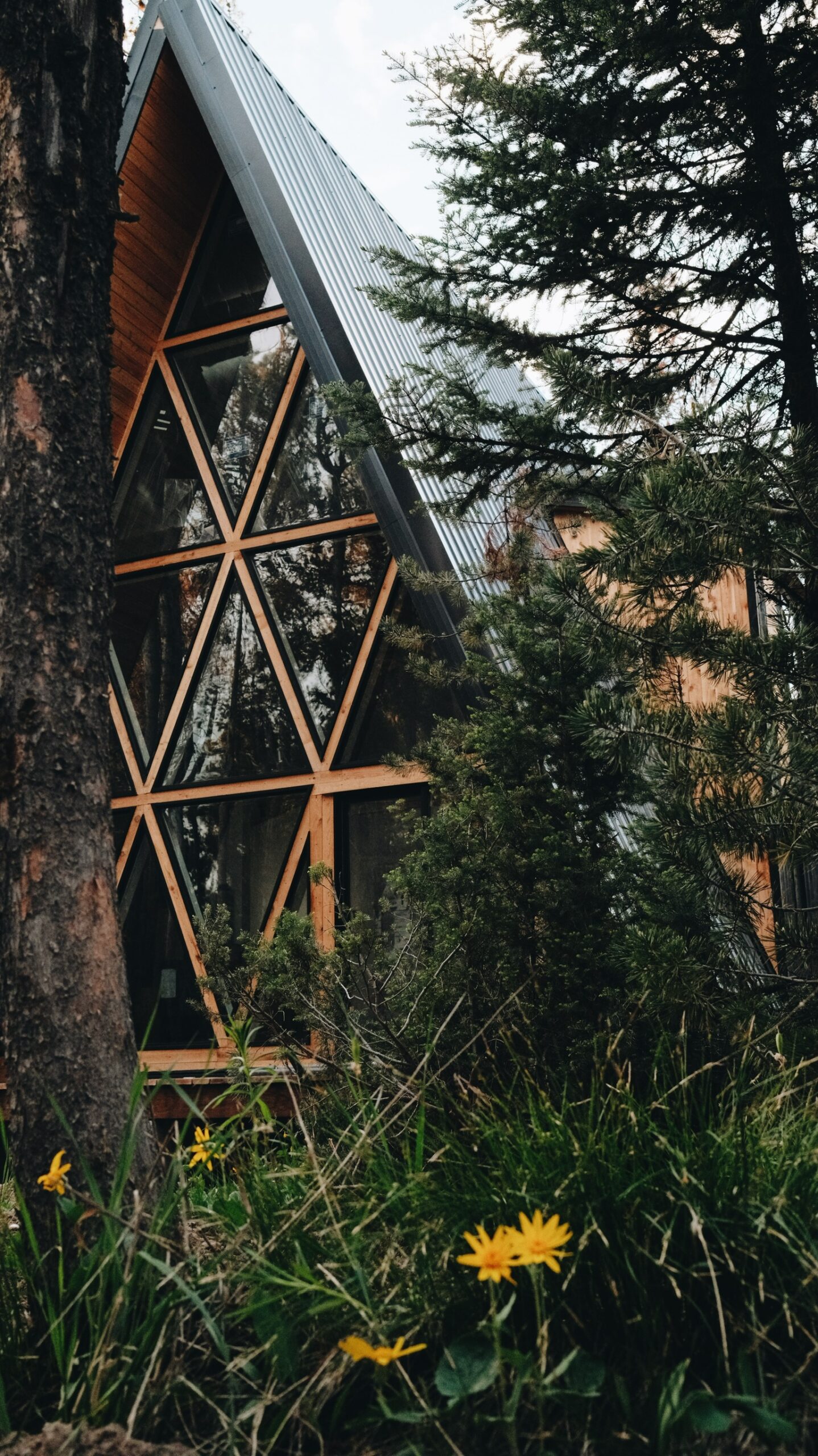 Exterior of A-frame cabin in natural setting